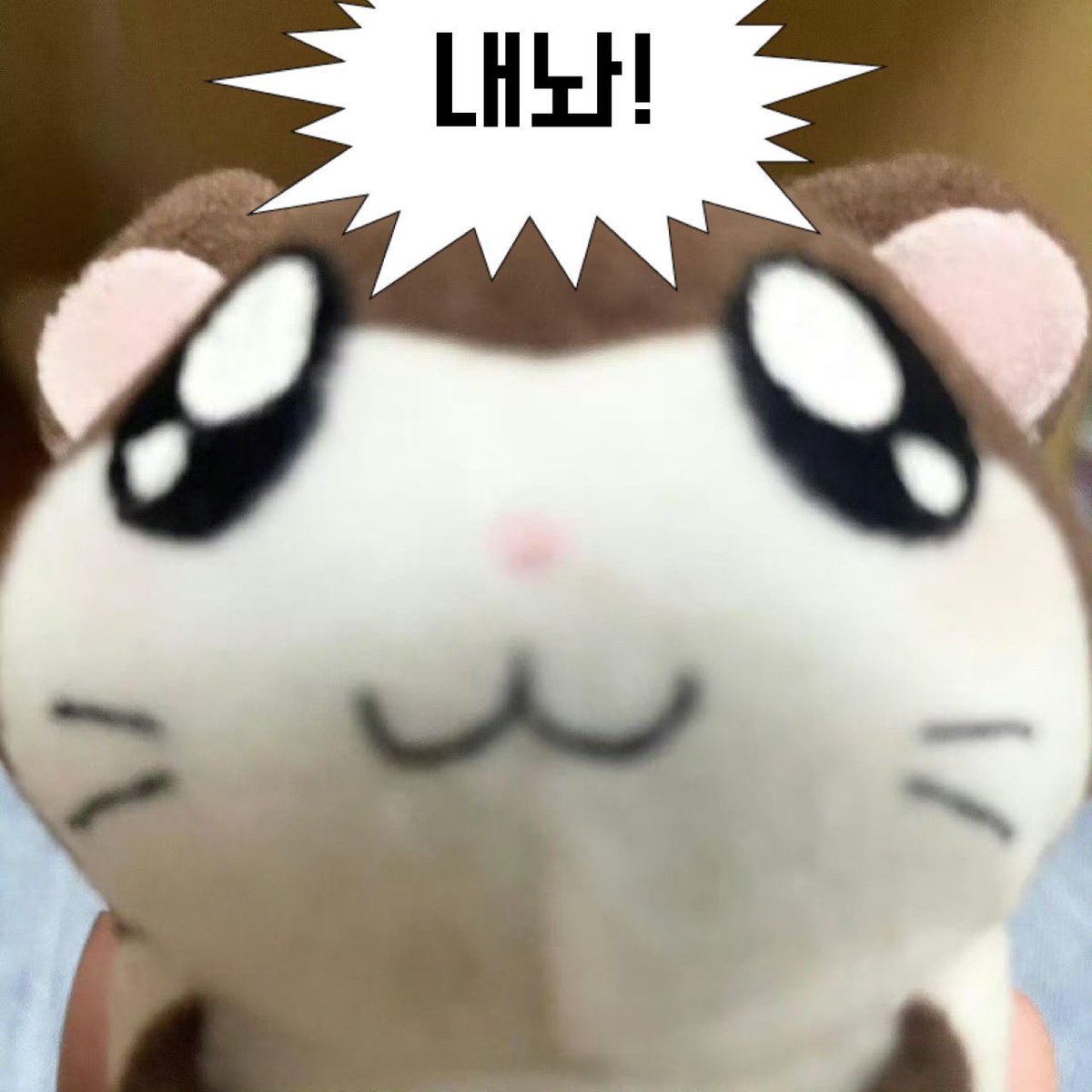 always_plli's tweet photo. 워낙 넓어서 저를 찾을 수 있으실진 모르겠지만… 지나가다 착장 보시고 발견하시면 밴드내놔!!! 하시면 드리겟슴니다

개별 아니고 5개 한세트로 드려용
그리고 첫콘만 갑니다아 〰️! https://t.co/PjW3sacdke