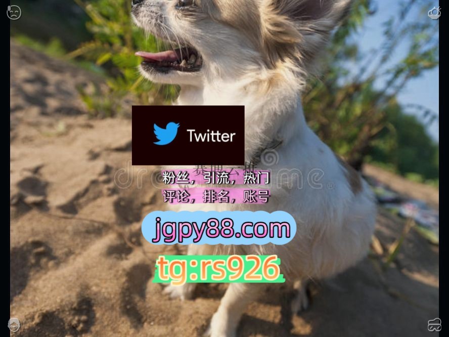 DDDD30678's tweet photo. Change leads to fresh new starts.
自动脚本矩阵互动🌞輔助工具🌂外🍺facebook上门
关键词霸屏🧳熱門🌈权重号🌟推特老号🍄定時發推💐推特账号批量发帖、多账号管理、推广营销绍兴
推特账号海外流量、品牌推广、社媒营销围740019热门号
多账号管理、批量发帖、内容同步杭1州、成1都、南1京、武1汉 https://t.co/QU2ZU4rg7P
