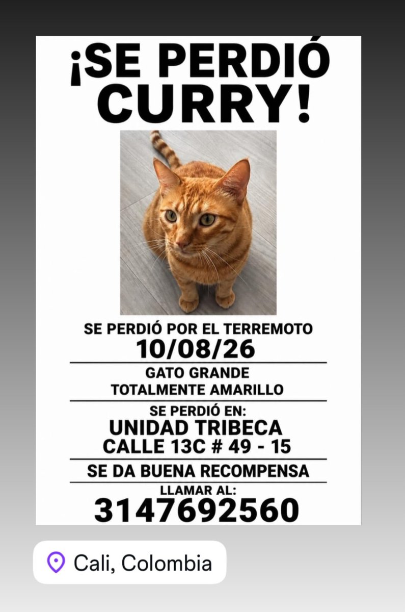 dani_ele___'s tweet photo. @dianalunareja Hola, también tenemos el caso de Curry en Cali. Aún no fue encontrado. Gracias https://t.co/G3ieopXfld
