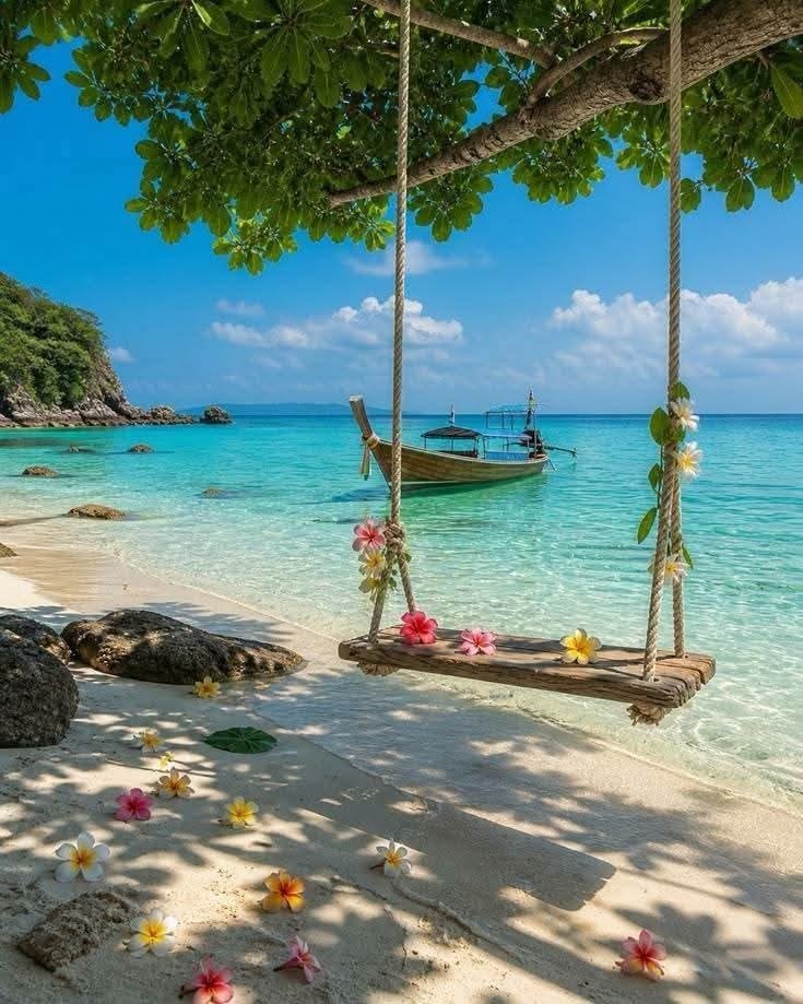 cozyycabin's tweet photo. "This place is pure paradise! ✨🌴" https://t.co/bdaS8kEgsb