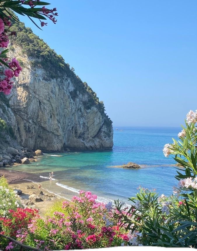 cozyycabin's tweet photo. "This place is pure paradise! ✨🌴" https://t.co/bdaS8kEgsb