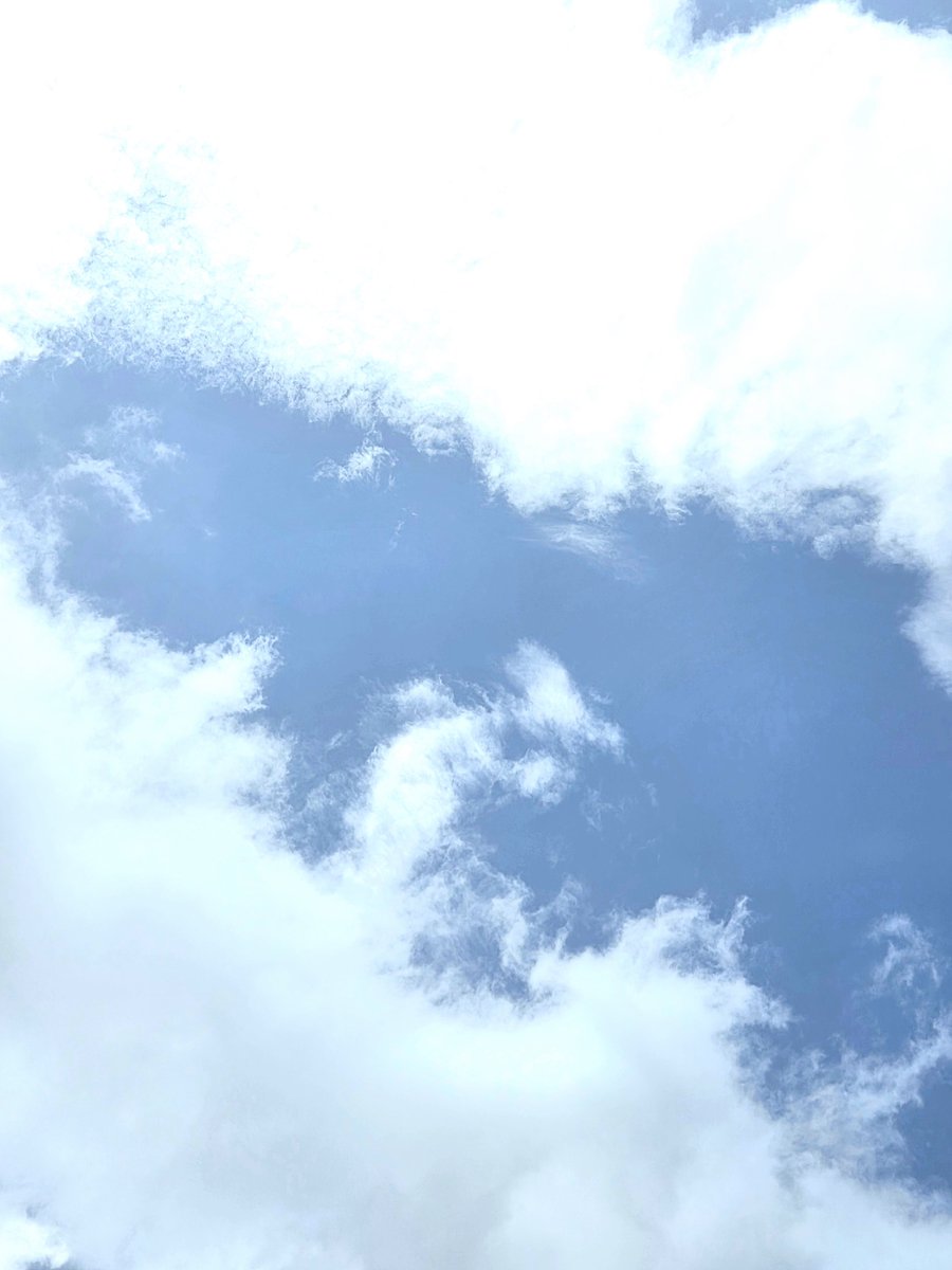 tamacho517's tweet photo. 今日は…
こんな���でも急変して、雨が降る～(´･A･`)洗濯物が外に干せません⤵
晴れてると、葉っぱも綺麗なのになぁ。 https://t.co/wt4k8a8mXk