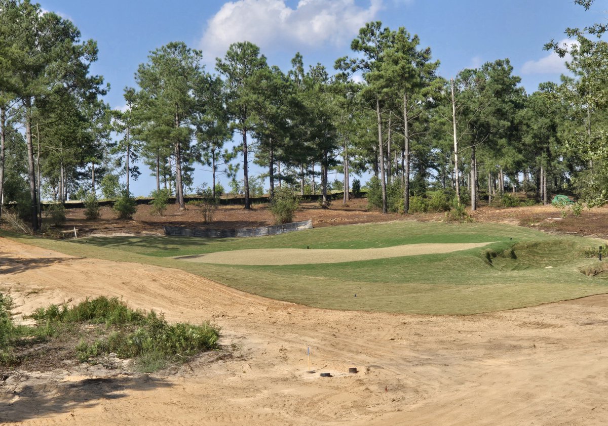 jeffwarnegolf's tweet photo. Grassing continues at https://t.co/0aOMHoFnOh
@bschneider126 @SirPuttsalot @drew_amato @GrayCarlton https://t.co/mblMgw02vj