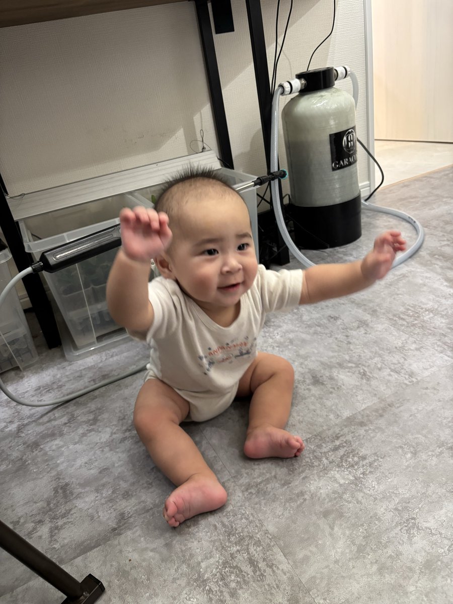 evisuke0 tweet picture