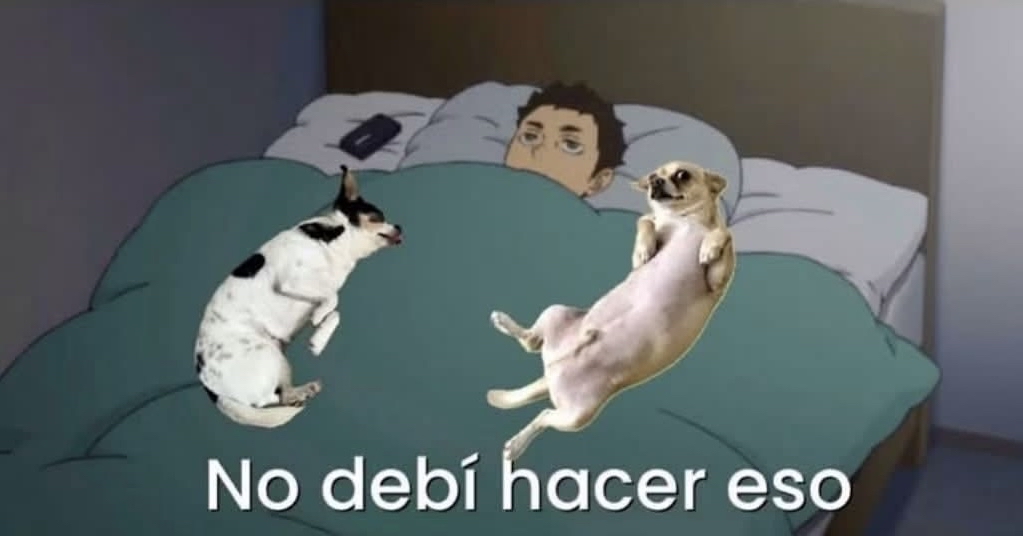 Guarromantico_'s tweet photo. Cuando dije que los subiría a la cama por única ocasión y ya van 8 años. https://t.co/Ss9qjag97Z