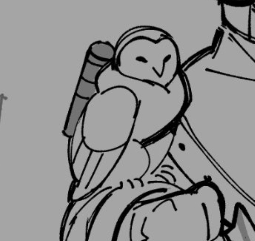 lag0yo's tweet photo. I can't help but see this as Princess and Katana's owl🥺 https://t.co/o43FSdmPx6