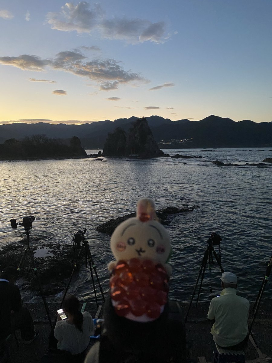 ta__camera's tweet photo. ピンぼけうさぎ https://t.co/vUMcRXtR2N