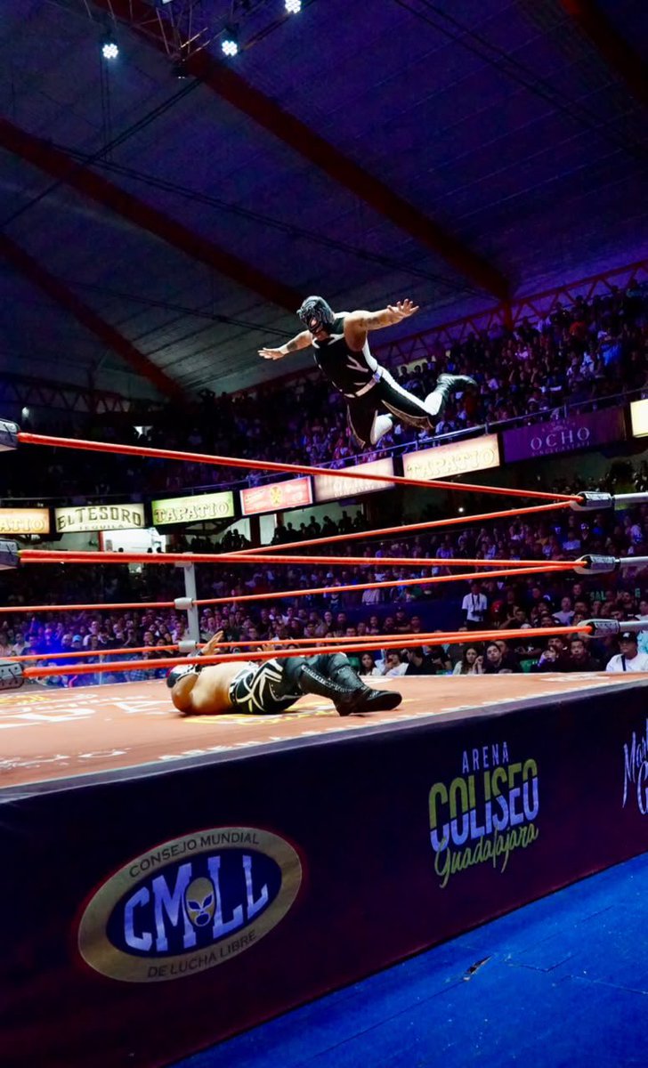 CMLL_OFICIAL's tweet photo. La juventud y el estilo aéreo rindieron frutos para Pantera Jr., Hijo del Pantera y Blue Shark, quienes encontraron el camino hacia el triunfo frente a Robin, Trono y Optimus. 

#MartesDeGlamourCMLL #CMLL https://t.co/ifen4cQlwz