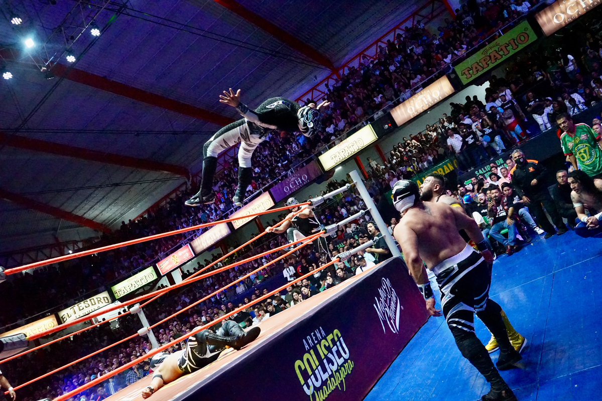 CMLL_OFICIAL's tweet photo. La juventud y el estilo aéreo rindieron frutos para Pantera Jr., Hijo del Pantera y Blue Shark, quienes encontraron el camino hacia el triunfo frente a Robin, Trono y Optimus. 

#MartesDeGlamourCMLL #CMLL https://t.co/ifen4cQlwz
