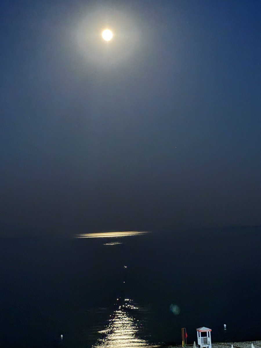 errante_l's tweet photo. e,..all’improvviso mi scelsi.
Aprii la finestra e lasciai entrare il giorno.
Non avevo risolto nulla. 
Ma respiravo. 

dal Web

..incominciai a vivere! dentro solo una gran voglia di rivederti e amarti… https://t.co/dV5j7TXlKp