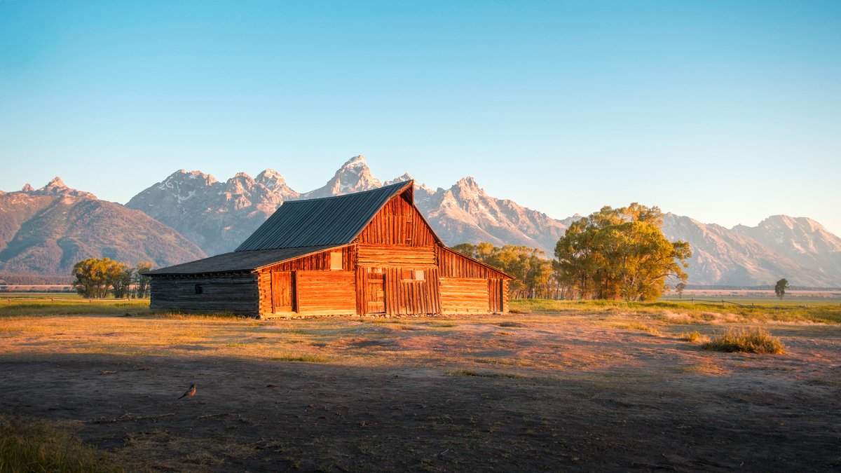 Sigma_Photo's tweet photo. Join photographer Vitor Rodrigues to see how the Sigma 16-300mm F3.5-6.7 DC OS | Contemporary handled an epic road trip through Yellowstone, the Tetons, the Sawtooths, and the Sierra Nevada, delivering versatile wide-to-telephoto performance for capturing sweeping landscapes and intimate details — all with a single lens.

Full article + more photos:
https://t.co/KRUCu69RqI

The Sigma 16-300mm is available for Sony E-mount, Canon RF Mount, Fujifilm X Mount, and L-Mount systems. BONUS: It is currently $75 OFF through August 30 at authorized USA dealers.

#Sigma16300mmContemporary #photography #travelphotography #landscapephotography #madeinaizujapan