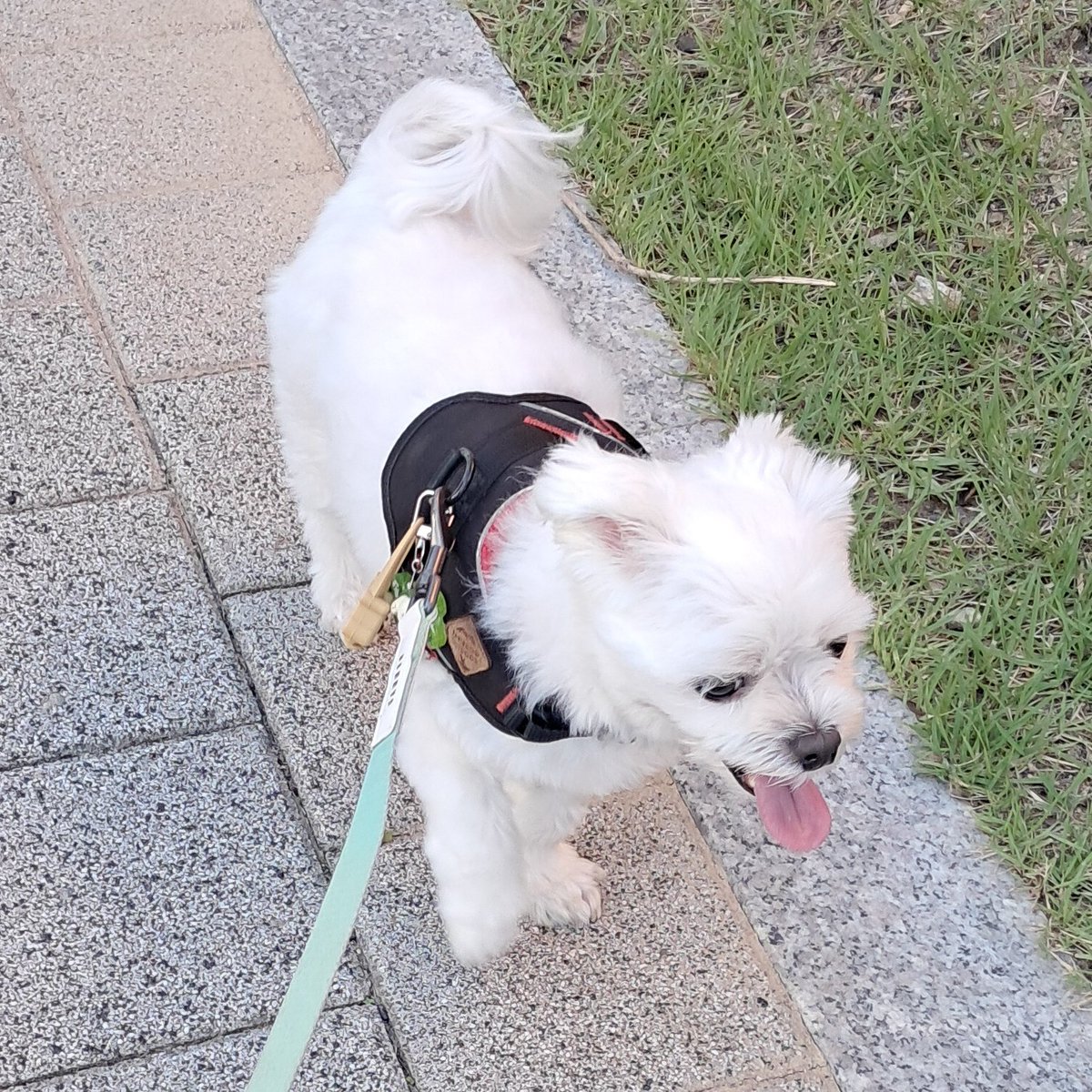 sunlike_sol's tweet photo. 회복 완료 https://t.co/btfmEew9Nk