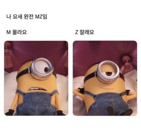gamsungdomm's tweet photo. MZ모드 https://t.co/d3BVREUdRx