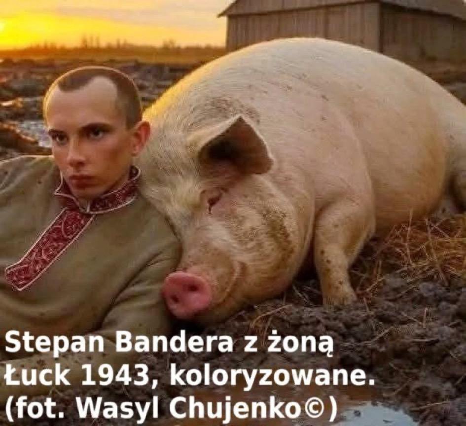 ciamperos500's tweet photo. @HlupHlup45422 @PulseOfUkraine Mój dziadek był w wojsku i brał udział w operacji „Wisła” jestem z niego dumny bo niejeden banderowiec poszedł na karmę dla bieszczadzkich wilków  - odrodziła się populacja tych pięknych zwierząt bo w lasach było pełno ścierwa z upa👍 https://t.co/N4FfjM283f