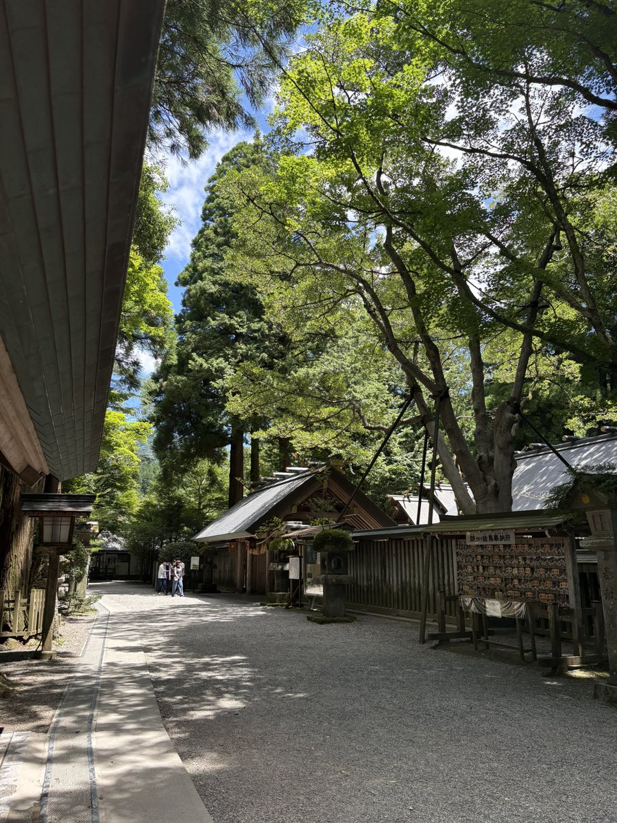 kuroyako's tweet photo. 場所は高千穂
天岩戸神社に来ましたฅ^•ﻌ•^ฅ https://t.co/yCVHyenUv7