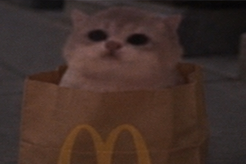 JamCatRH's tweet photo. meadgod ordered. Jam Cat delivered. https://t.co/fhskSqfAV7