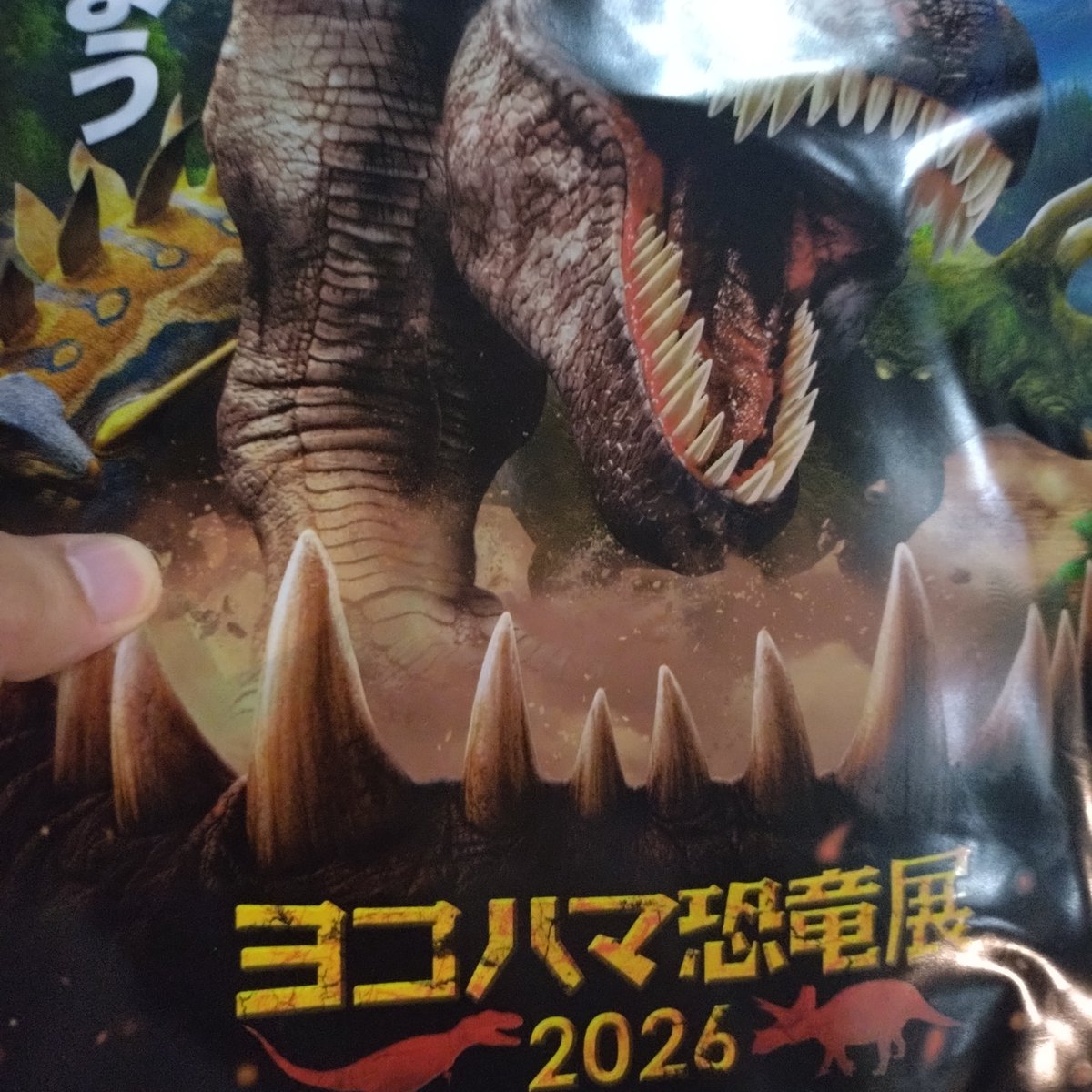 anko_case's tweet photo. 来てみた https://t.co/TYcy2Pzyv6