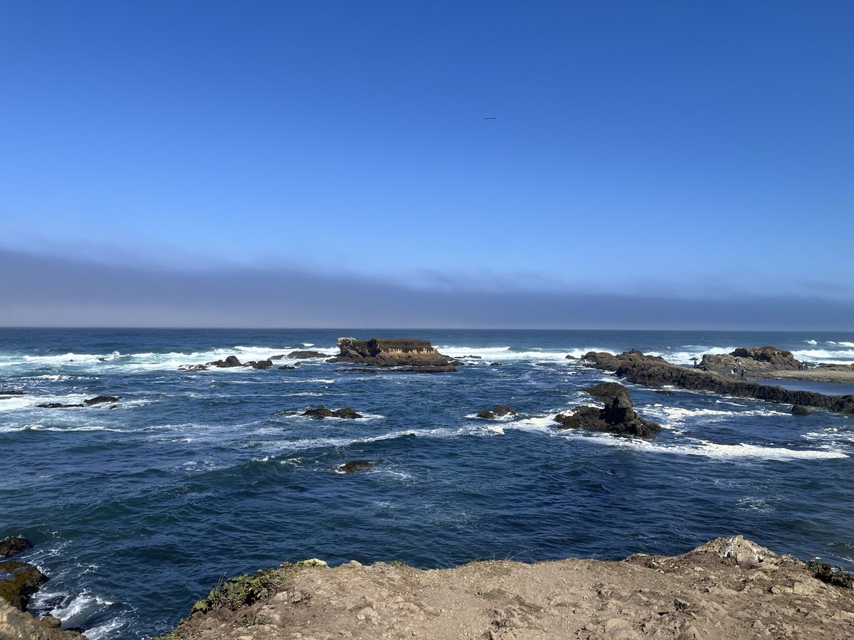 iamrebicat's tweet photo. @Minniecat16 PS here is a little something for her. A view from glass beach 🏝️ and the botanical gardens https://t.co/wxtpB9aXl5