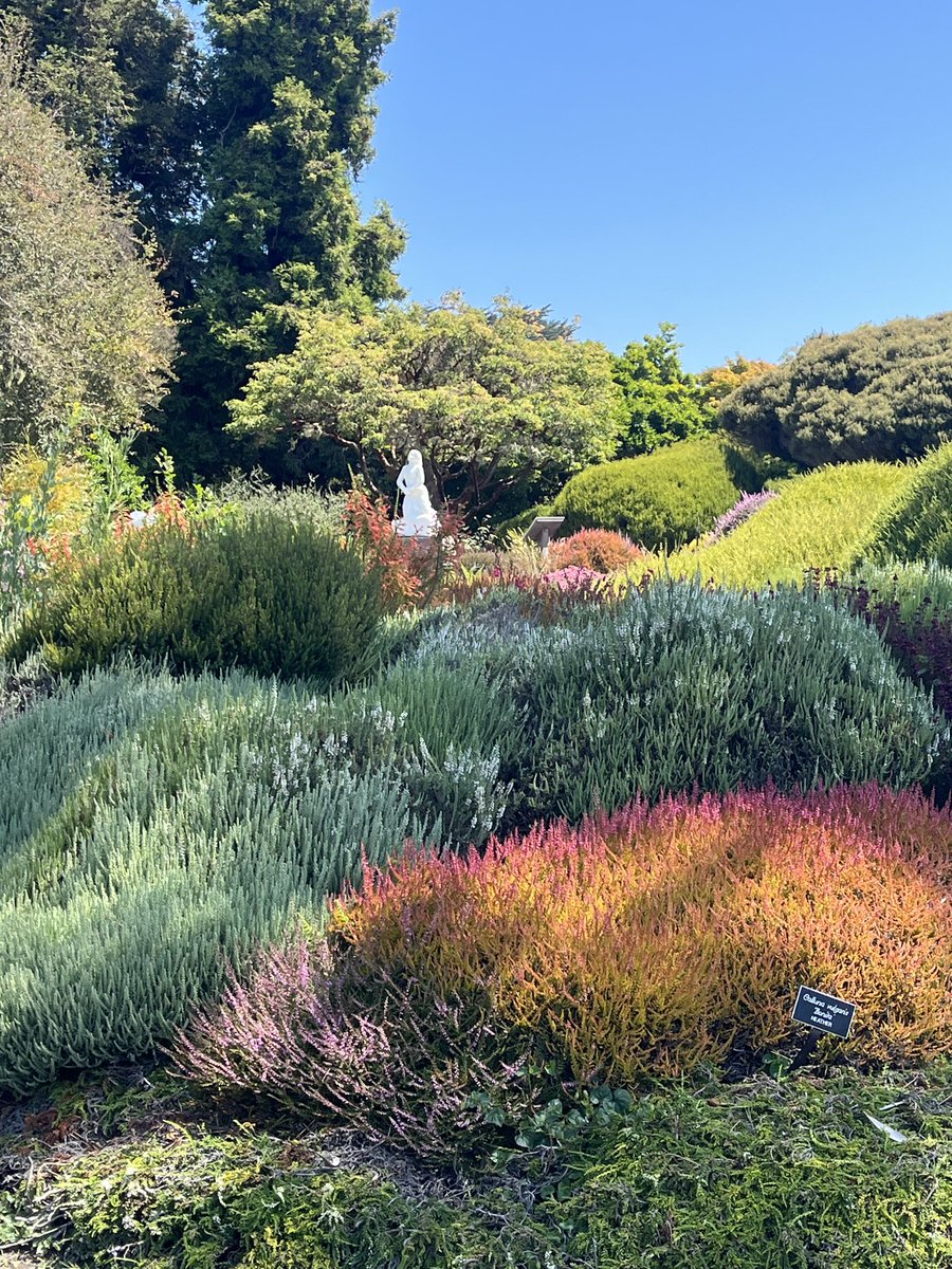 iamrebicat's tweet photo. @Minniecat16 PS here is a little something for her. A view from glass beach 🏝️ and the botanical gardens https://t.co/wxtpB9aXl5