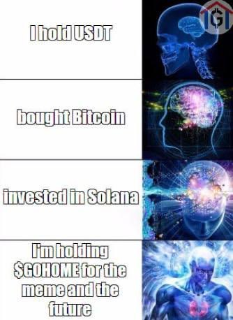 GoHome_Token's tweet photo. I'm holding $GOHOME for the meme and the future. https://t.co/OqdSsQwWGO
