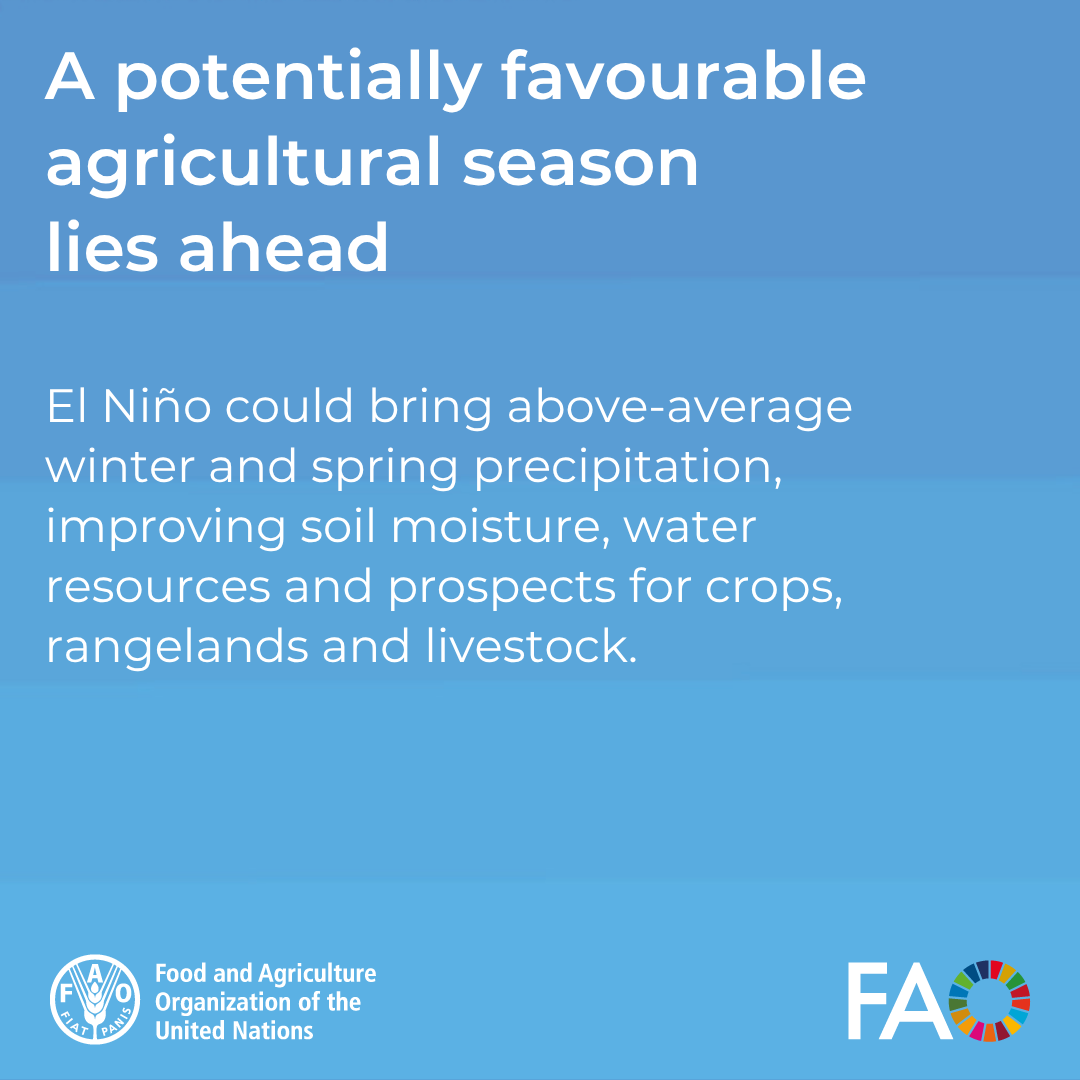 FAOAfghanistan's tweet photo. What could El Niño mean for Afghanistan’s farmers?

Swipe through the key implications, and the action needed to translate improved rainfall prospects into stronger agricultural production 👇

🔗 https://t.co/xLvP28Qk2c https://t.co/S3NeYpevL8