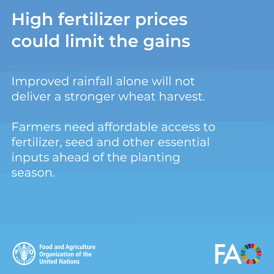 FAOAfghanistan's tweet photo. What could El Niño mean for Afghanistan’s farmers?

Swipe through the key implications, and the action needed to translate improved rainfall prospects into stronger agricultural production 👇

🔗 https://t.co/xLvP28Qk2c https://t.co/S3NeYpevL8