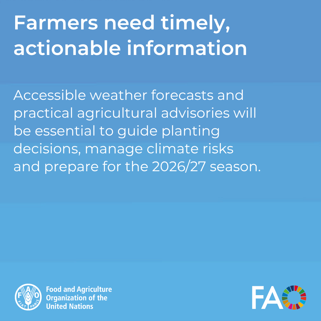 FAOAfghanistan's tweet photo. What could El Niño mean for Afghanistan’s farmers?

Swipe through the key implications, and the action needed to translate improved rainfall prospects into stronger agricultural production 👇

🔗 https://t.co/xLvP28Qk2c https://t.co/S3NeYpevL8