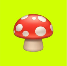 serioti0n's tweet photo. @flapdotsh Just A Mushroom

CA : 0x04f025d68c9d820d2b96c36bcec69a2fa8d77777 https://t.co/OxwDl8usac