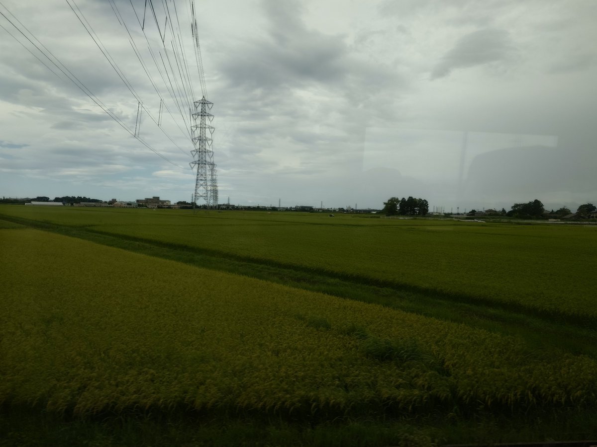 keisousky's tweet photo. 左田んぼ。右も田んぼ。新潟だなー https://t.co/r5RUUwZWAV