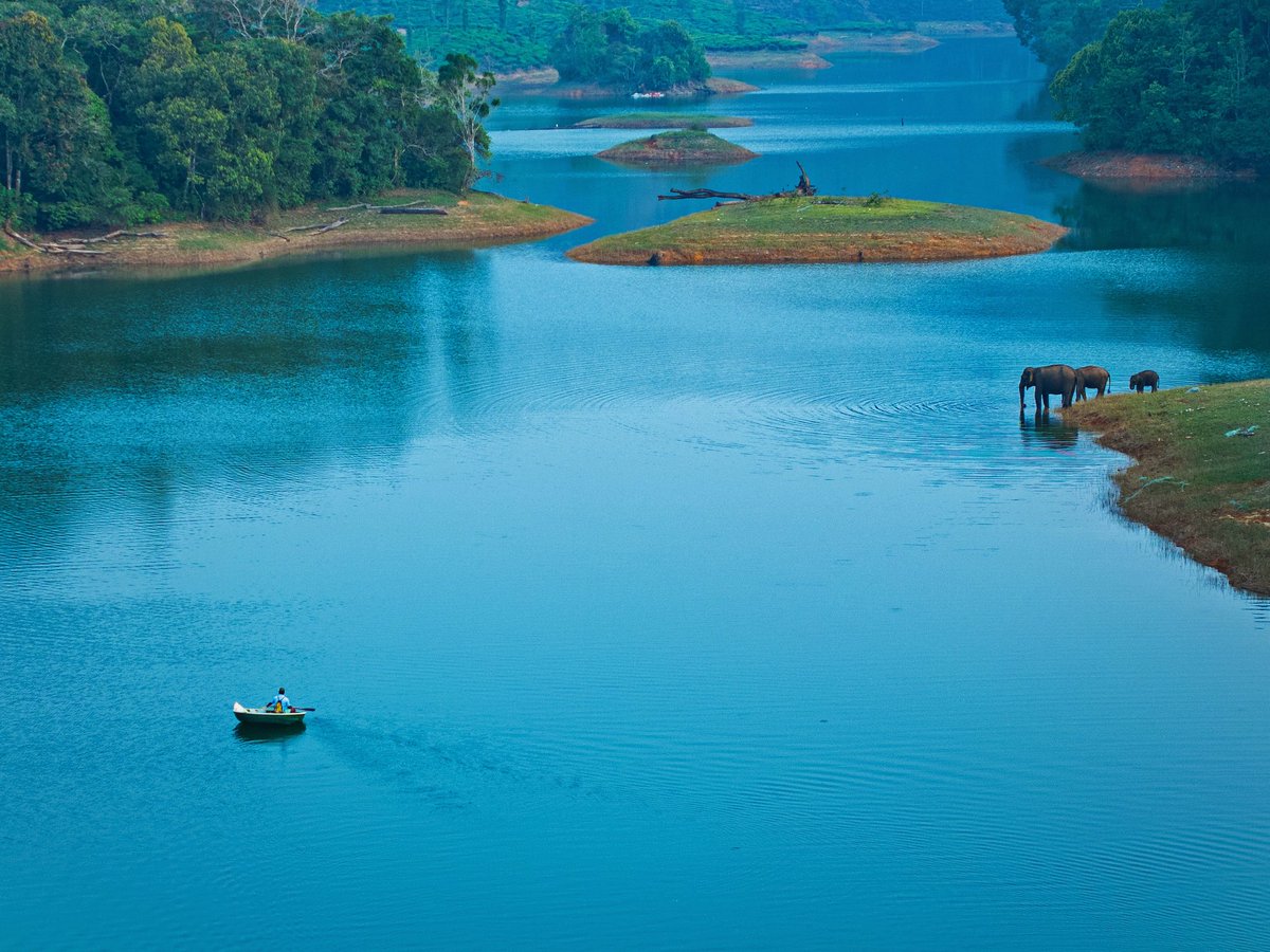 supriyasahuias's tweet photo. Imagine a world without elephants. Imagine forests without them. They would never be as rich, resilient and alive as they are when elephants roam through them as ecosystem engineers ! 

India is so lucky to have elephants. The latest Wildlife Institute of India DNA-based assessment estimates 22,446 wild elephants in India, meaning India is home to roughly half of the world’s remaining wild Asian elephants.

Within India, the Western Ghats are the great elephant stronghold. Karnataka (6,013), Tamil Nadu (3,136) and Kerala (2,785) together have 11,934 elephants, more than 53% of India’s entire estimated population. Tamil Nadu has the third-highest elephant population in the country, after Karnataka and Assam.

India’s top five elephant states are: Karnataka 6,013 | Assam 4,159 | Tamil Nadu 3,136 | Kerala 2,785 | Uttarakhand 1,792. Together they account for nearly 80% of India’s elephants.

This #WorldElephantDay, we must resolve to do everything we can to conserve elephants #worldElephantDay2026 #elephants #elephantday Brilliant capture @shanmughanandam