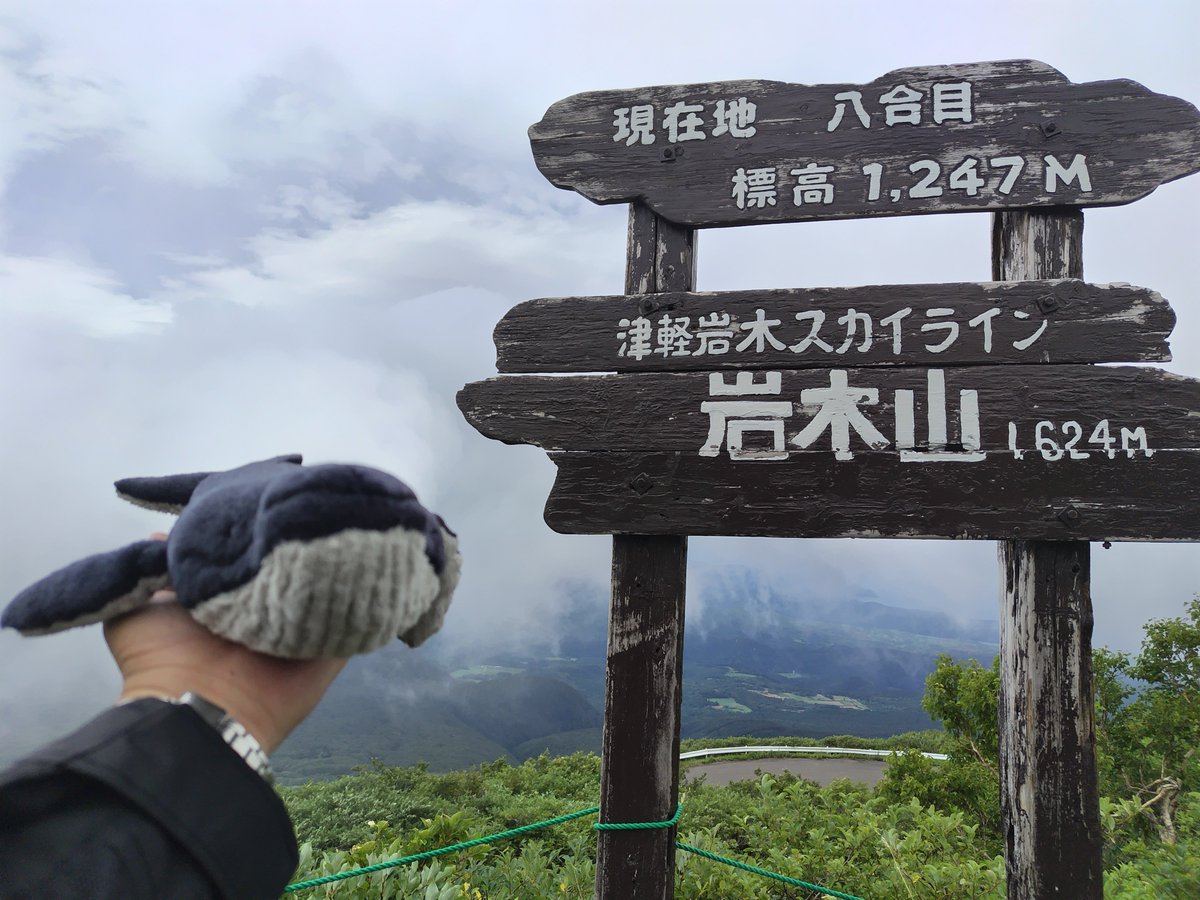 WinD10074's tweet photo. つづら折りで曲がること69回、やっとこさたどり着いた津軽岩木スカイライン終点（岩木山八合目）で待っていたのは！！！

白！！！ https://t.co/XNjr55nCz5