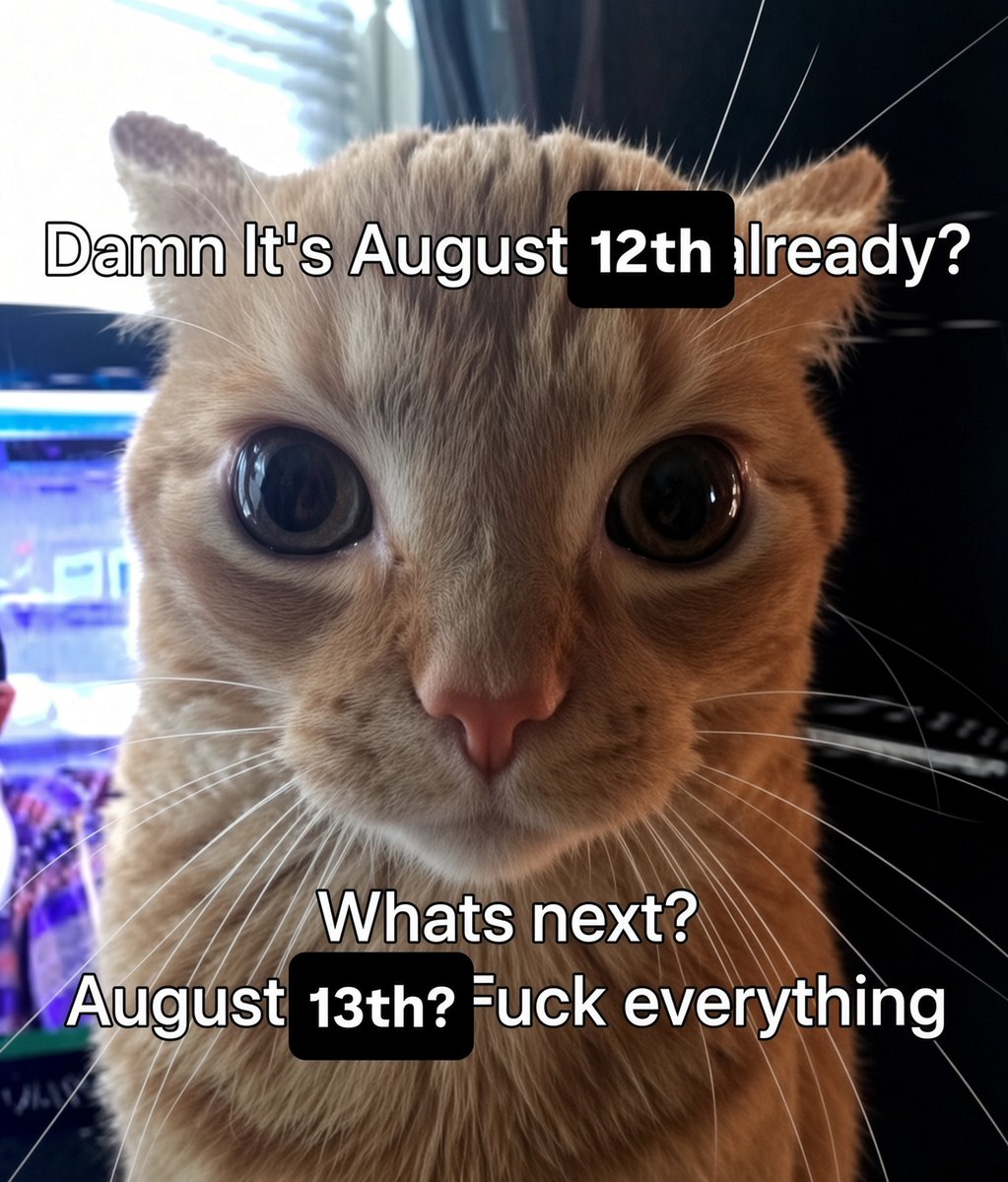 literallymecats's tweet photo. https://t.co/8KVmmqvKYU