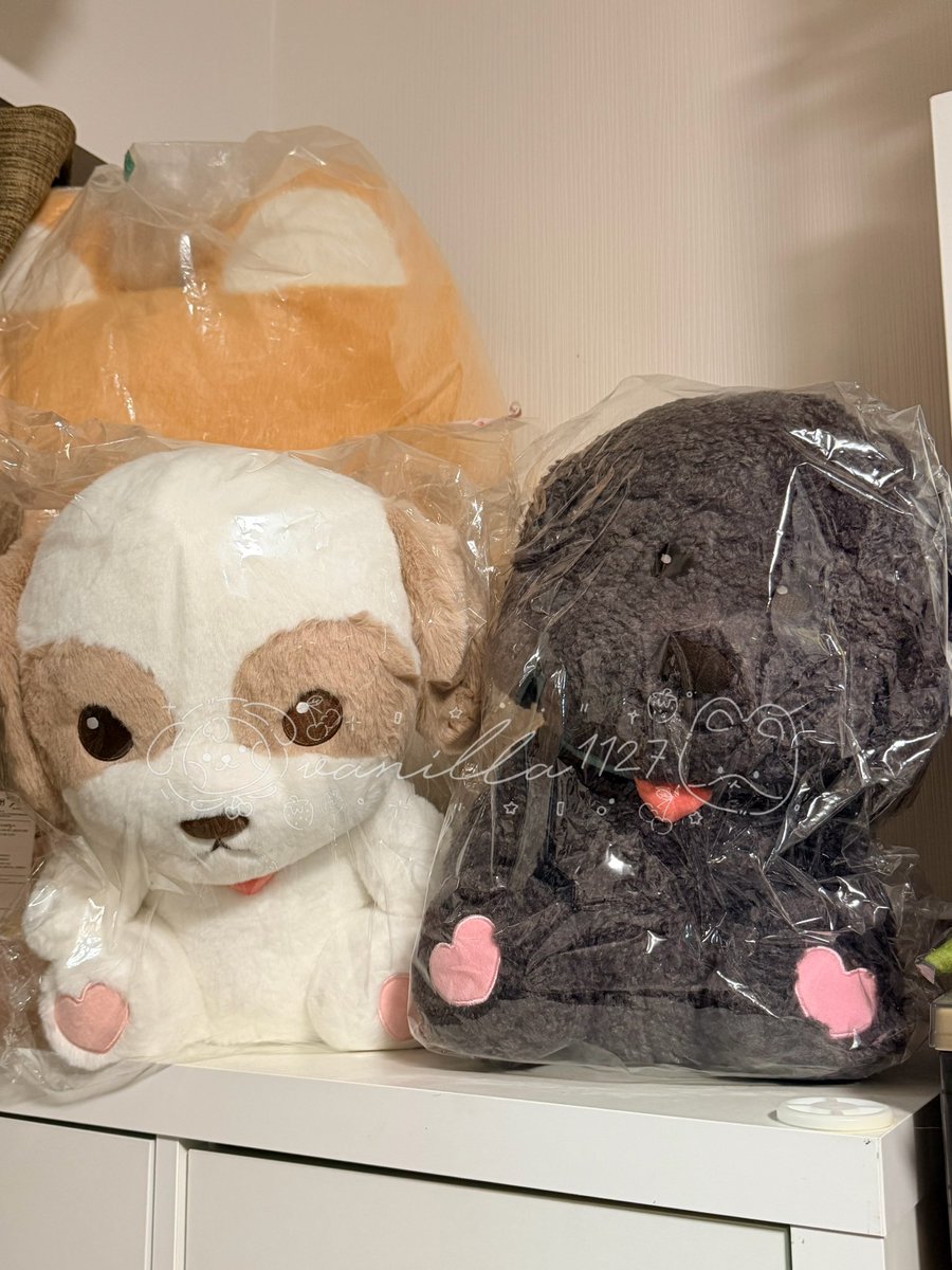 vanilla1127's tweet photo. WTS / ขาย / ส่งต่อ

🐶 Zzar &amp; Toben voice doll 40 cm
ใส่ถ่านกดได้ จะมีเสียงชานยอลกับน้องๆ เห่าแบบในคลิปเลยค่ะ

ขายเป็นคู่ 4,290 บาท รวมส่ง

*มือหนึ่งนอนถุง แต่ถุงกาวเสื่อม* 
สามารถดูรูปเพิ่มเติมได้ค่ะ

#ตลาดนัดEXO #ขายของสะสมEXO https://t.co/I3gg1pd16p