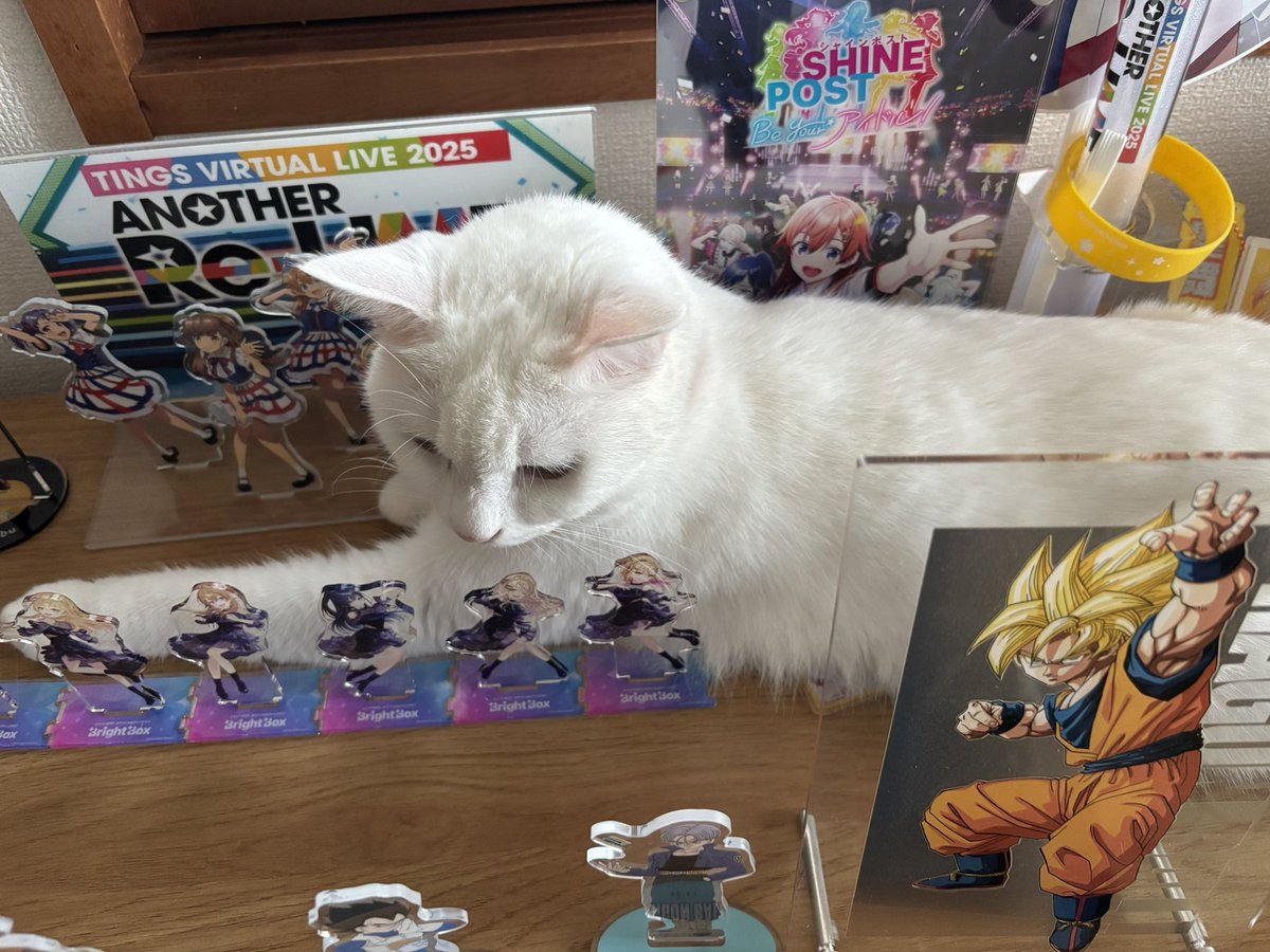 kingof_reason's tweet photo. そこはアカン言うとるやろ https://t.co/EgEznSvr3M
