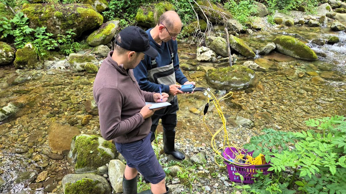 RNP_Romsilva's tweet photo. 🐟 Zglăvoaca (Cottus gobio), un pește mic cu un rol important în ecosistemele acvatice din Parcul Național Retezat.
Specialiștii pregătesc reproducerea controlată a exemplarelor locale și repopularea unor râuri din parc, pentru consolidarea populației speciei.
#Romsilva #Retezat https://t.co/KTyFHSoRYu