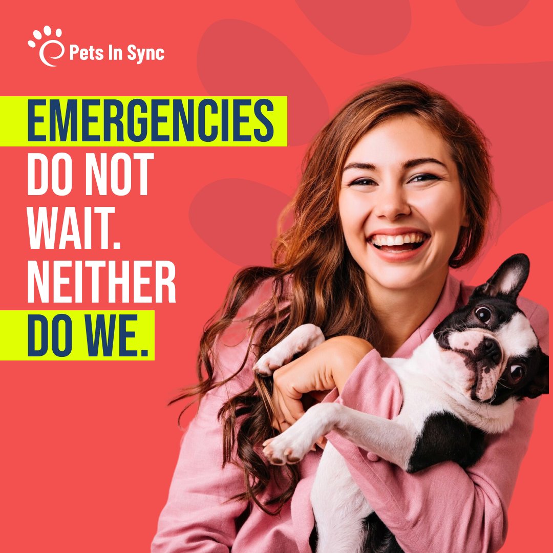 Petsinsync tweet picture