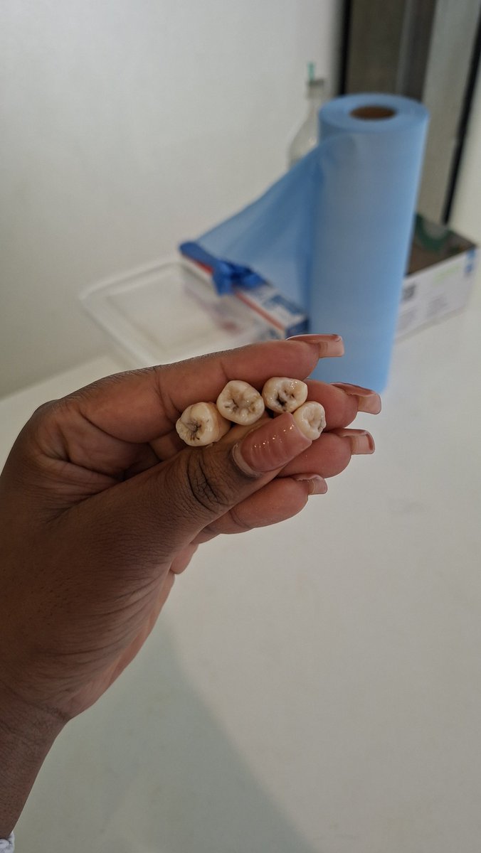 Dreary_bloomood's tweet photo. Took a risk and extracted 4 molars today💀 https://t.co/FbiLkHttss