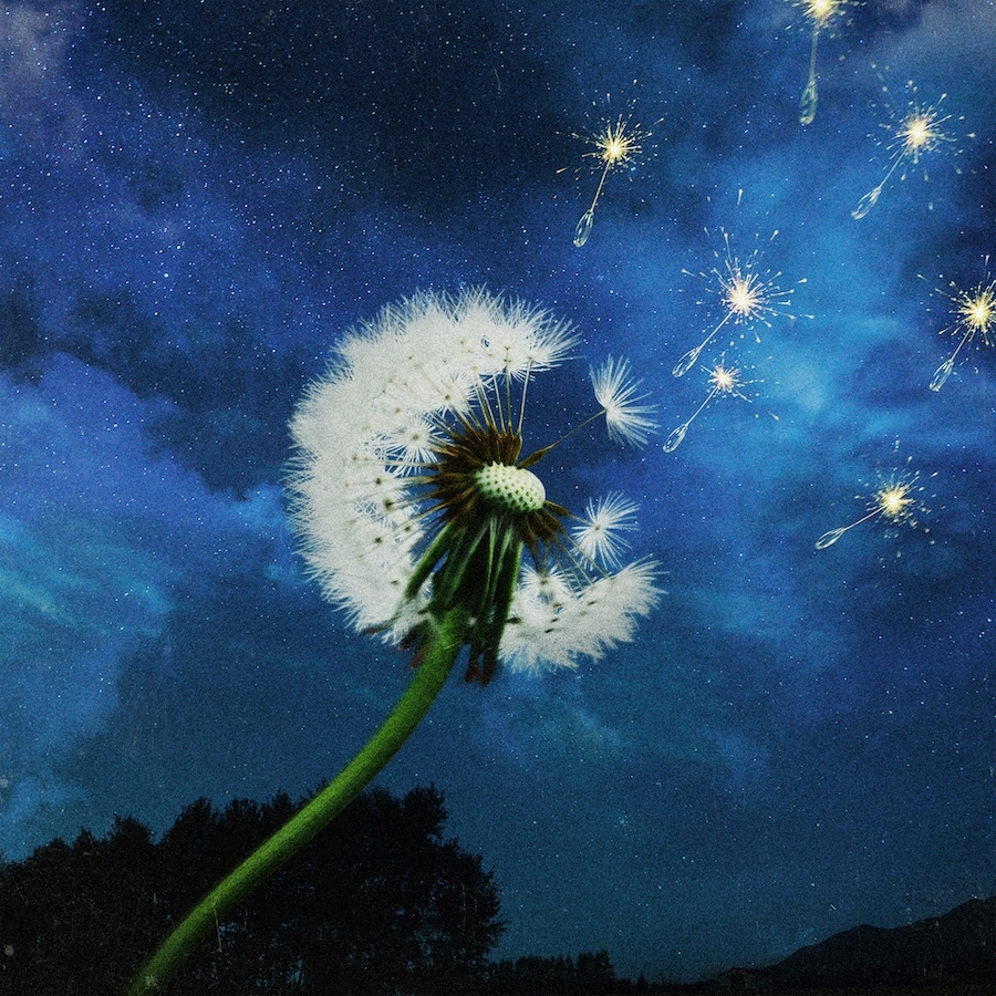 spice_mu's tweet photo. #Guiano 、4thアルバムより「花火」を先行配信　「時の流れ」をテーマにした本人出演MVも公開
 https://t.co/tY28zXMnGY https://t.co/VhOK5hy9qd