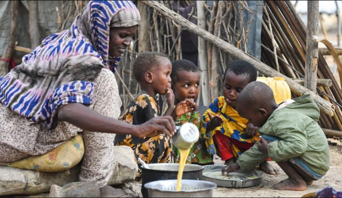 TheDailyPioneer's tweet photo. Years of drought, conflict and rising costs are forcing thousands of Somali families to flee their homes for displacement camps.
Click to read: https://t.co/8iUBmFEKil
#Somalia #Drought #HungerCrisis #HumanitarianCrisis #FoodInsecurity https://t.co/XXlkCskh0z