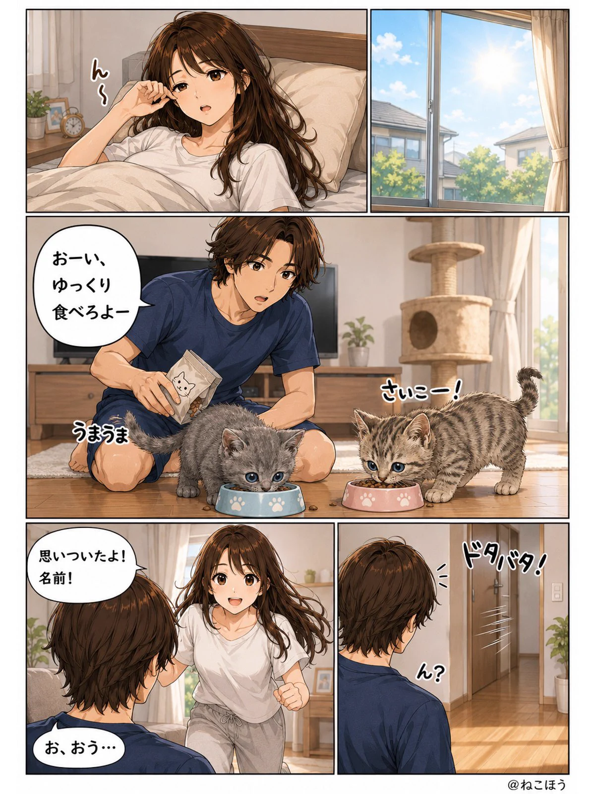 ねこほうママ on X: 