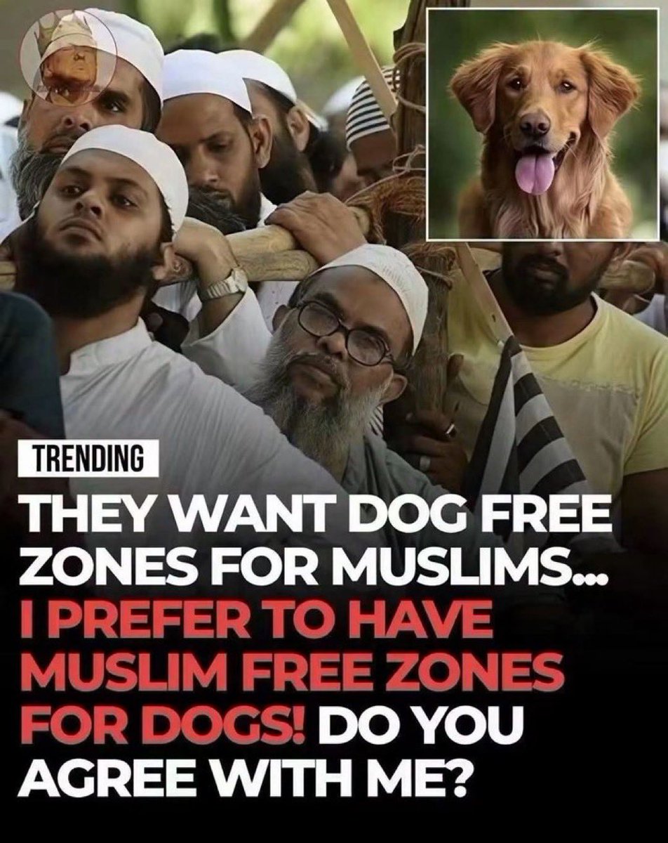 Melgibsonact's tweet photo. Do you agree with me? 🇺🇲 https://t.co/SRJUvIkbbF