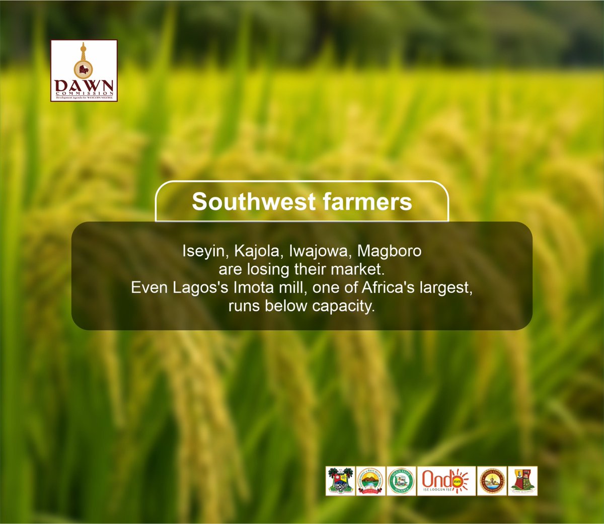 DAWNCommission's tweet photo. Nigeria's rice mills are not closing for one reason: they are being squeezed from five directions at once. 

DAWN Commission's new policy brief breaks down what is happening and what needs to change. 

Download the full brief here: https://t.co/HBysPSomzW https://t.co/j68hKmv3lB