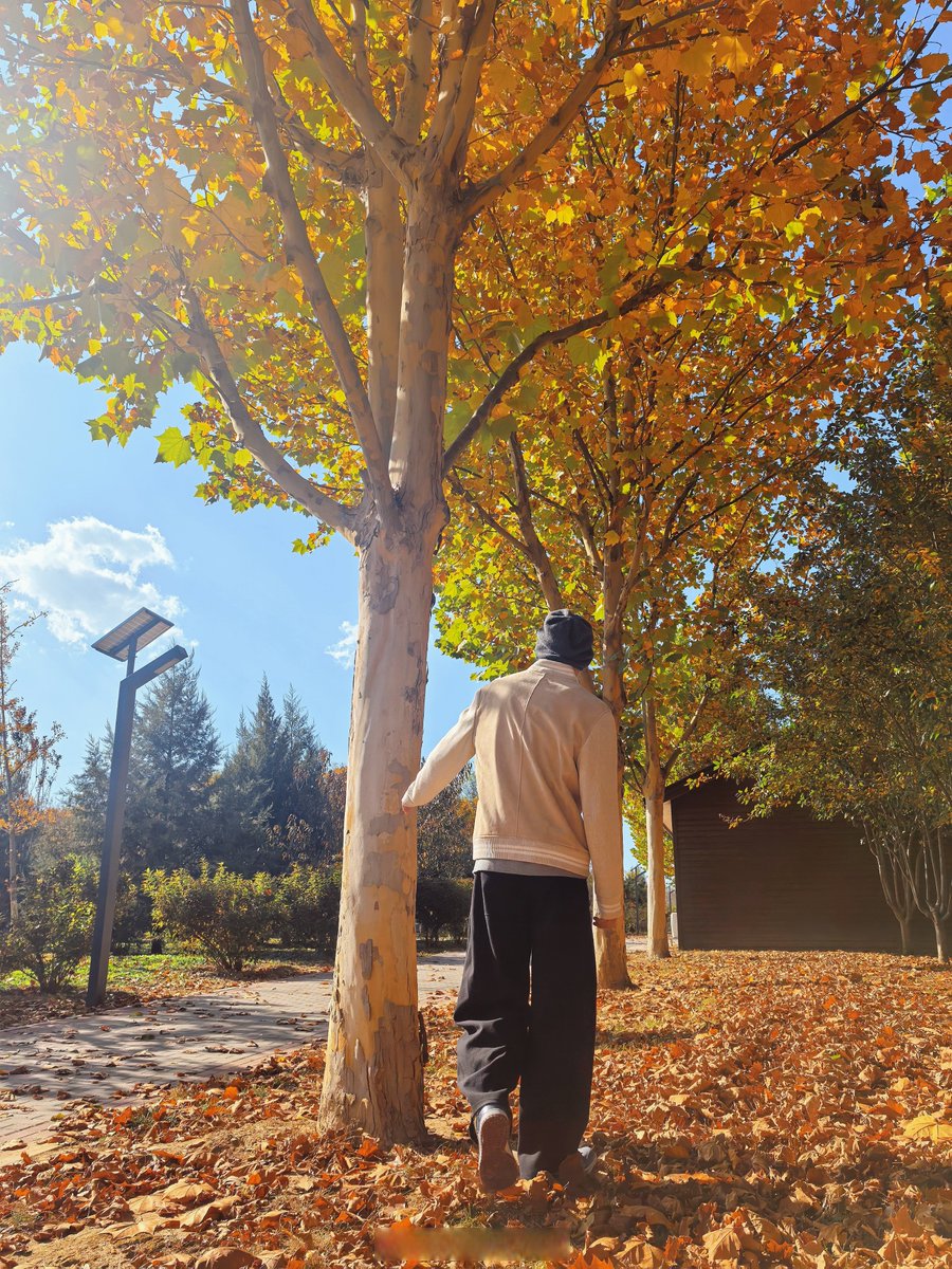 NuSkin101's tweet photo. Fresh autumn breeze u0026 golden leaves  Perfect afternoon for a hot coffee walk! https://t.co/yMSO2VyH9T