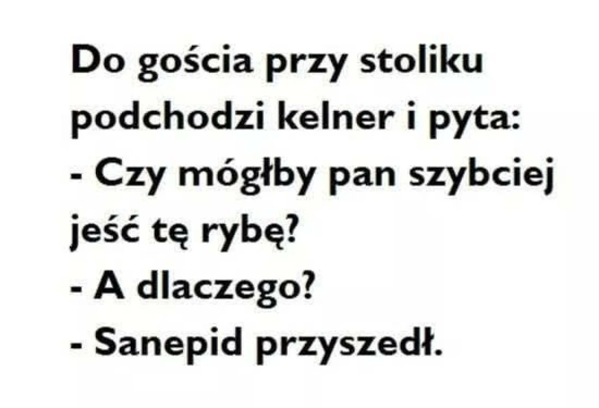 niezaleznapl's tweet photo. 🌟 Czekamy na Wasze ulubione memy w komentarzach! https://t.co/7rcKm58nkm https://t.co/M7L0g9yPXR
