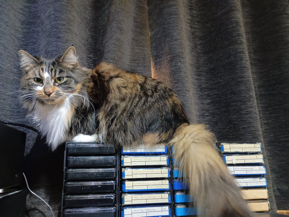solidgold247's tweet photo. Good Morning from #StudioManagerElsie who is raring to go after successfully securing #breakfastseconds 

Very full schedule ahead on #SolidGoldSounds for #WhiskersWednesday 😺🐾📻 https://t.co/YT5rH2MEKu