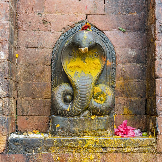 AK_Aspire's tweet photo. Wednesday + Amavasya + Sun & Moon in Ashlesha + Ketu in Magha + Nagava Karana

I see a very specific Naga pattern today
the day to release which you know is no longer good for you

Today is Wednesday, ruled by Mercury.
Sun & Moon are together in ashlesha, ruled by mercury.
The devata of Ashlesha are the Nagas
Today is solar eclipse, which happens on the Rahu-Ketu axis..the head and tail of the serpent. and this particular eclipse is on the Ketu side of the nodal axis
After 12:27 PM, the panchang shifts into Nagava Karana, 

We have a Mercury day, a Mercury Nakshatra, Naga deity & the solar eclipse itself begins while Nagava Karana is running.
And the eclipsed sun & moon are sitting directly in Cancer, the sign of the moon, the mind

If your birth chart is clear, this transit will pass. 
But if you carry specific alignment, it will be a trigger for your natal chart. 

Check if you have
Kala Sarpa, Sarpa Dosha
Murcery-Rahu, Mercury-Ketu conjunctions
Moon-Rahu, Moon-Ketu conjunction
Natal Sun,moon, lagna in ashlesha, especially close to the eclipse degree
if u are running rahu, ketu, mercury dasha
if u r dealing with obsessive thinking, toxic attachment, repeated mental loops, words which keep damaging relationships.

after sunset, light a ghee diya near Ganpati
offer 21 durva.
chant <Om Gam Ganapataye Namah> 108 times.

Stay blessed 🙏