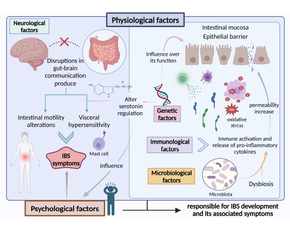 bvsspa's tweet photo. 🦠 “Exploring Gut Microbiota Imbalance in Irritable Bowel Syndrome: Potential Therapeutic Effects of Probiotics and Their Metabolites” @ibsGRANADA @_ibima
👉 Disponible en #RISalud https://t.co/2soKK3eKv2
#bvsspa #Microbiota #SíndromeIntestinoIrritable #Probióticos https://t.co/6tfMtWnx6H