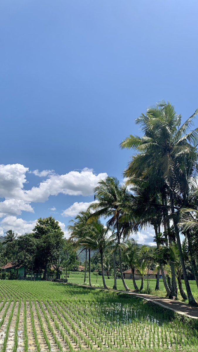 tradercams's tweet photo. Good morning traders.

Happy Wednesday.

Midweek reminder: you don’t need to make back anything today.

Trade what you see. Protect your capital. Wait for your setup. https://t.co/6e1WFFW6Jl