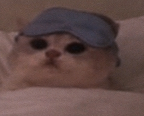 JamCatRH's tweet photo. closed for the night
$JAMCAT https://t.co/fCmyHr0nGu