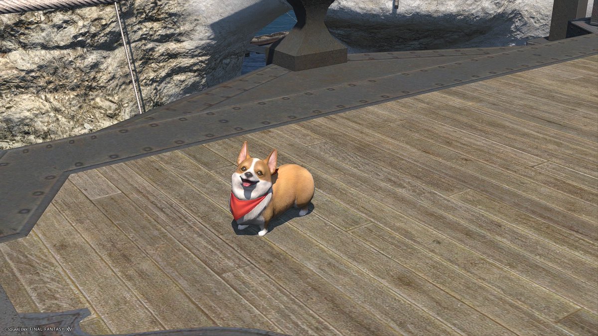 ff14hajimetano's tweet photo. ついに手を出してしまったっ……！

マーケットボードの前で葛藤すること数分……！
叩き出したギルと引き換えに手に入れたのは、至高の癒やし…コーギー！

金はまた稼げばいい…だがこのコーギーと歩む時間は……今しかないっ……！ 圧倒的満足感っ…！ https://t.co/VDEUdDabDV